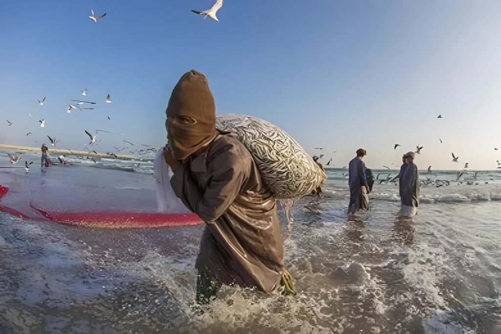 مشروع الاستزراع السمكي في السعودية