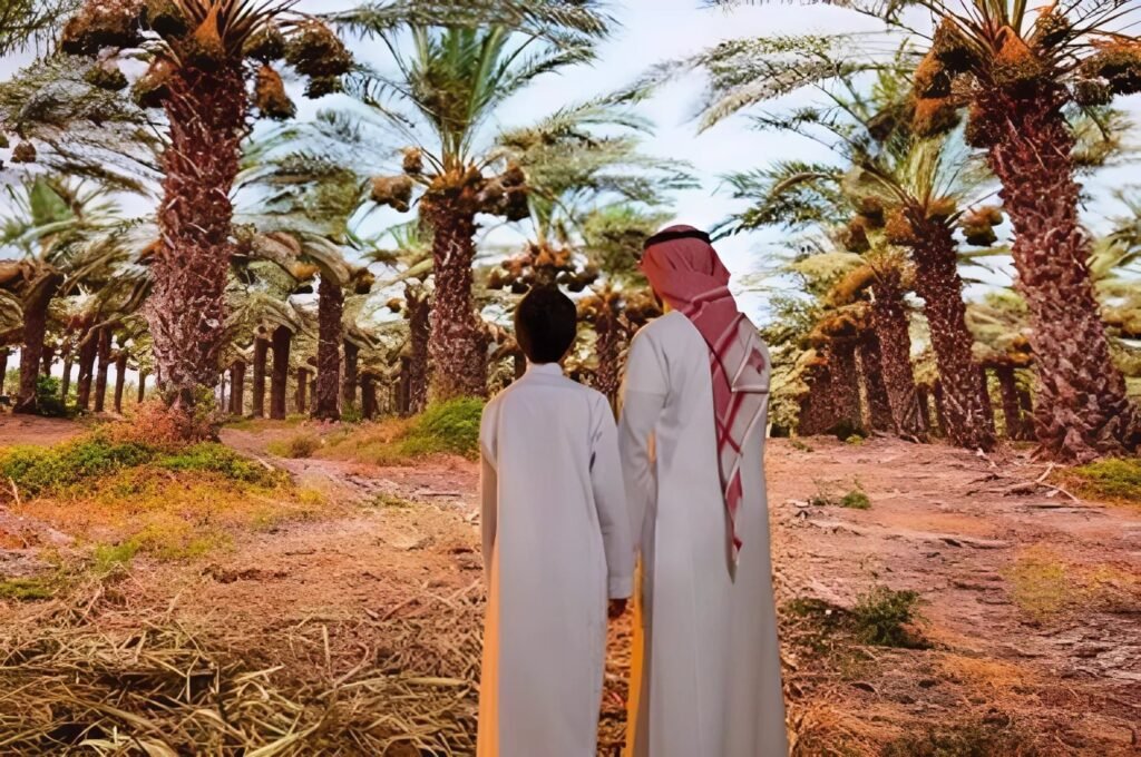 مشروع زراعة النخيل وإنتاج التمورمشروع زراعة النخيل وإنتاج التمور